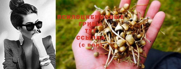 прущая мука Алексин