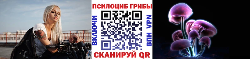 Псилоцибиновые грибы Cubensis  купить закладку  Юрьевец 